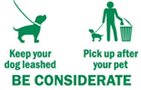 Off leash dog areas